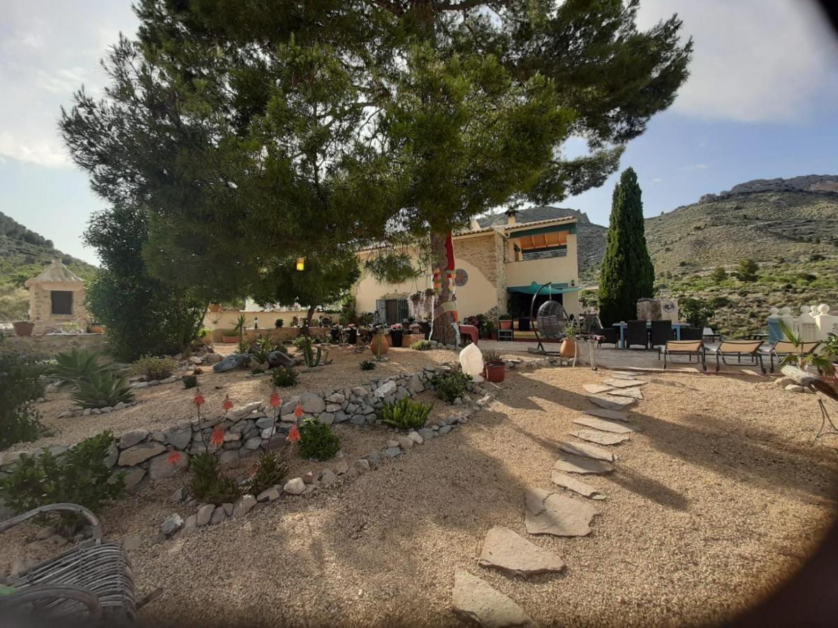 Casa Pura Vida Bed & Breakfast Relleu Dış mekan fotoğraf
