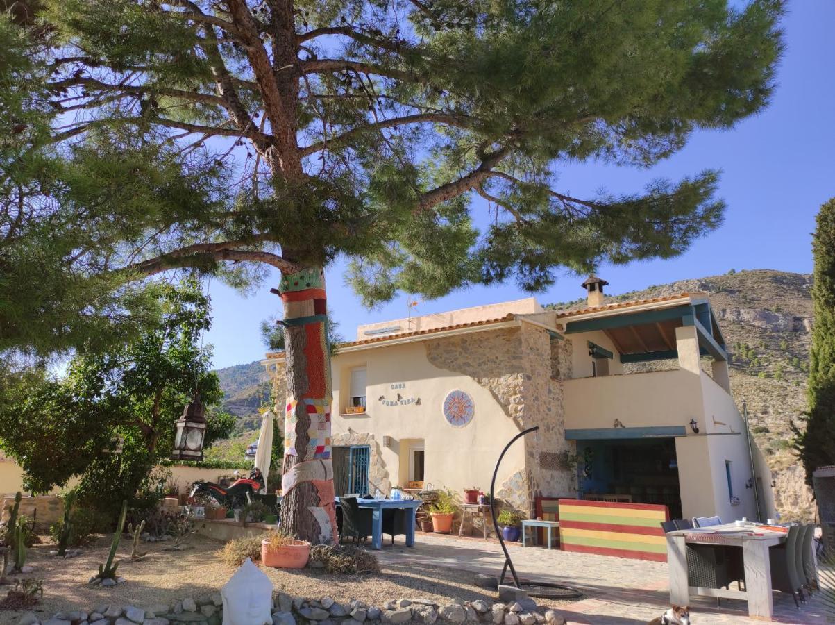 Casa Pura Vida Bed & Breakfast Relleu Dış mekan fotoğraf