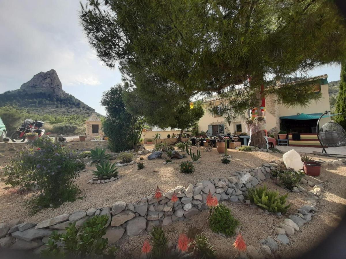 Casa Pura Vida Bed & Breakfast Relleu Dış mekan fotoğraf