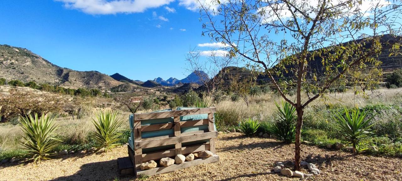 Casa Pura Vida Bed & Breakfast Relleu Dış mekan fotoğraf