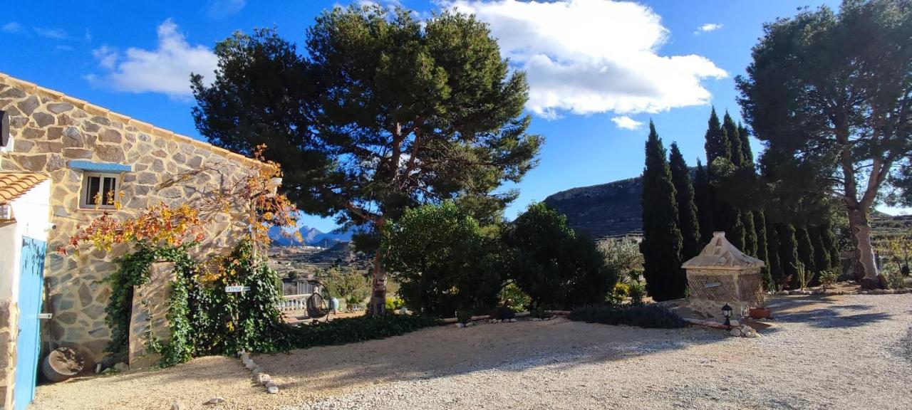 Casa Pura Vida Bed & Breakfast Relleu Dış mekan fotoğraf