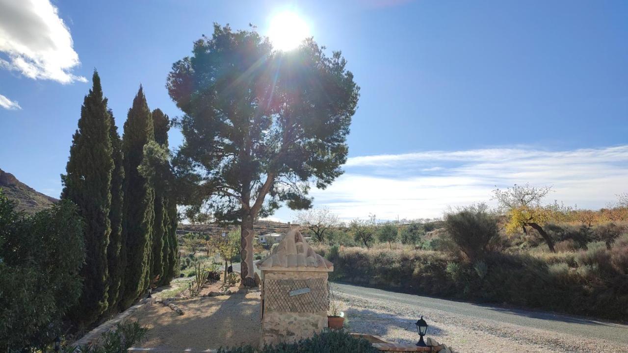Casa Pura Vida Bed & Breakfast Relleu Dış mekan fotoğraf