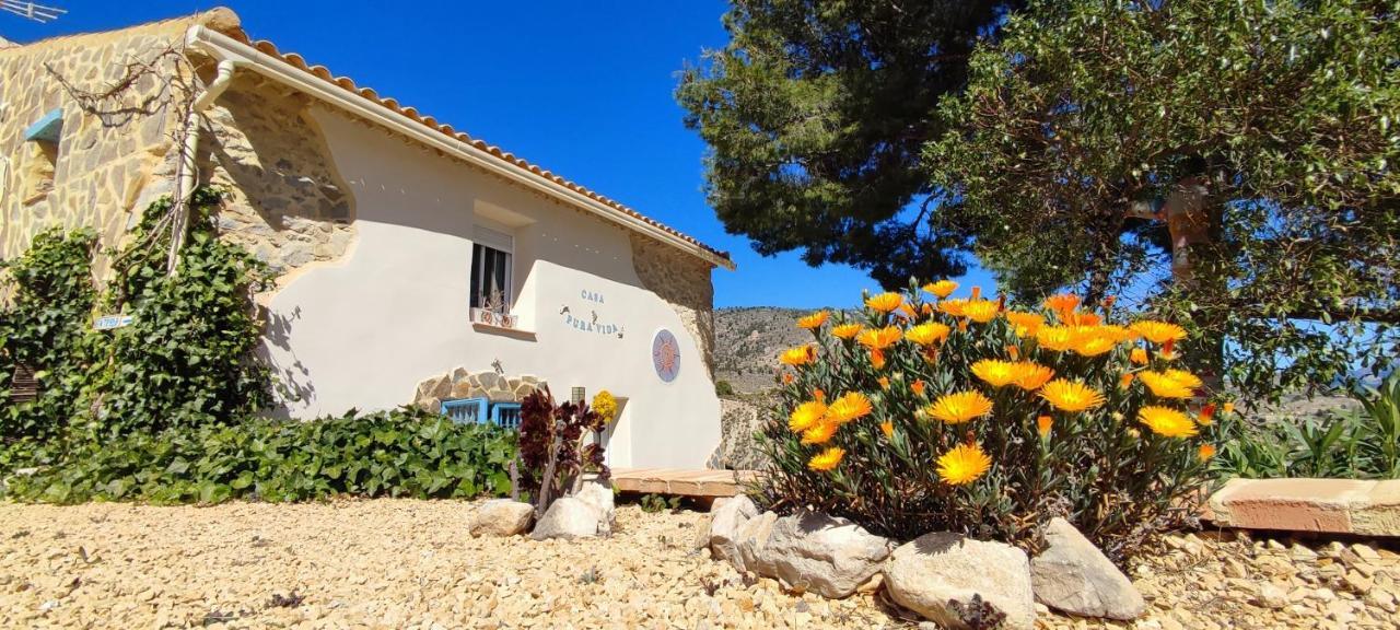 Casa Pura Vida Bed & Breakfast Relleu Dış mekan fotoğraf