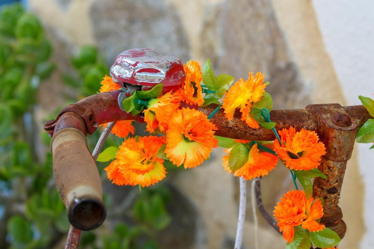 Casa Pura Vida Bed & Breakfast Relleu Dış mekan fotoğraf